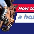 what is a lay bet in horse racing